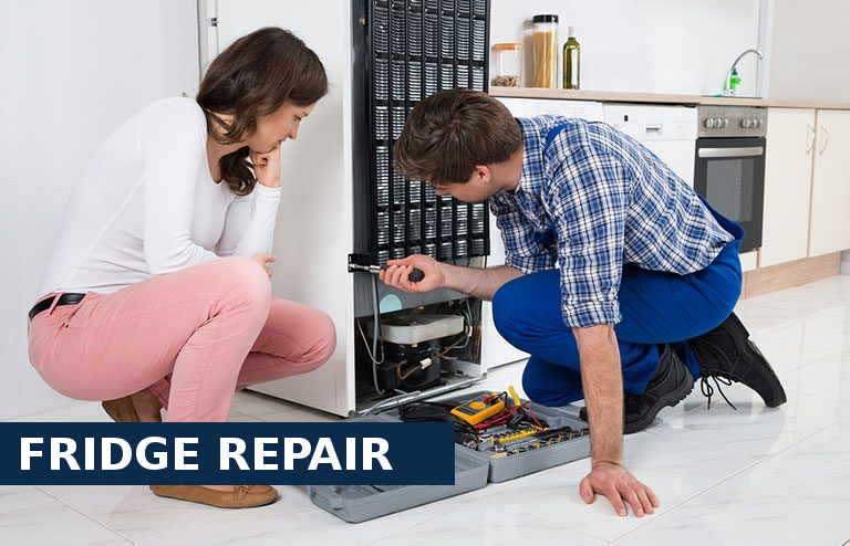 Fridge Repair Grays
